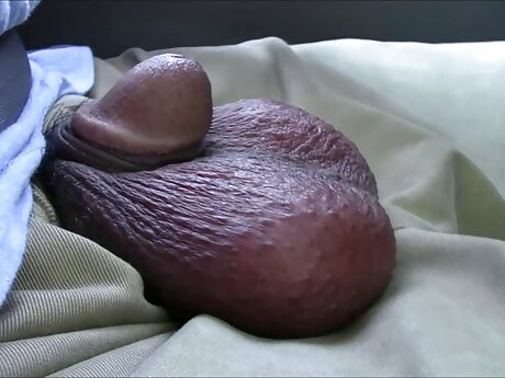 bokep barat plus